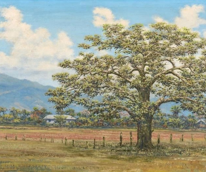 گونزالو آریزا
