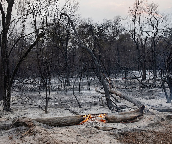 گالری آثار عکاسی لالو د آلمیدا از برزیل - قسمت اول