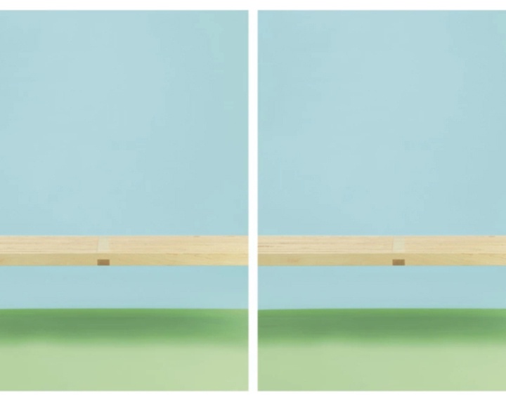 گالری عکس‌های ویلیام وگمن از آمریکا