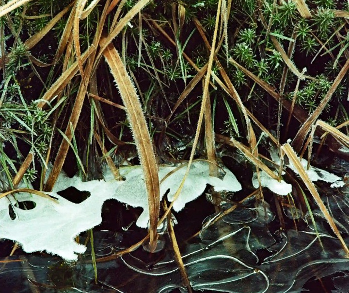 گالری آثار عکاسی مایک سایدل از آلمان