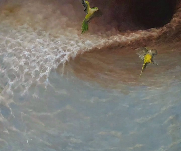 گالری نقاشی‌های لولا ماری از آرژانتین