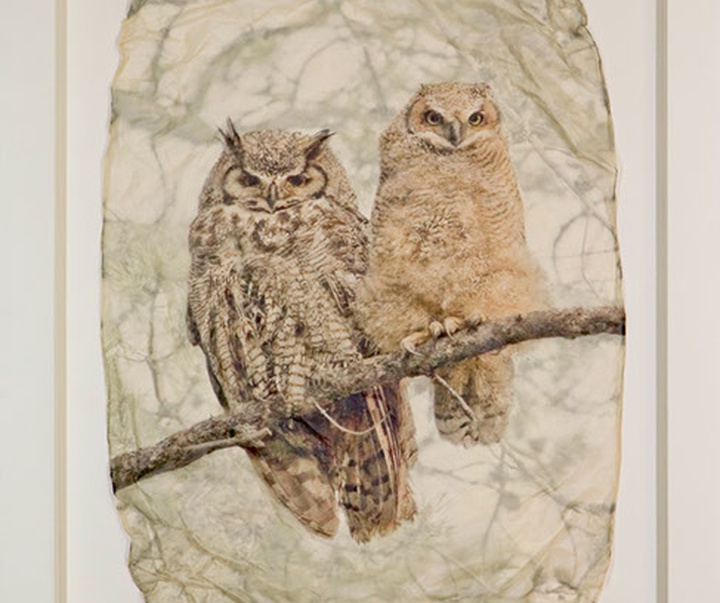 گالری نقاشی‌های پیت زالوزک از آمریکا