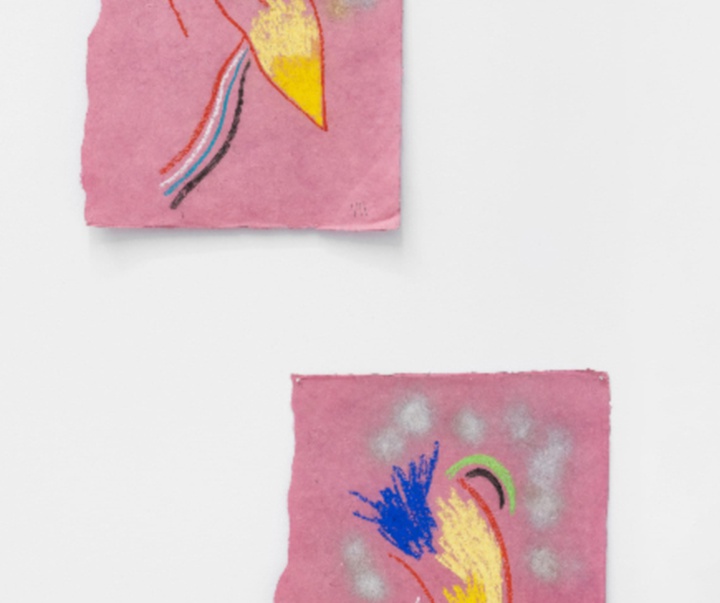 گالری تصویرسازی‌های تادسکیا از برزیل