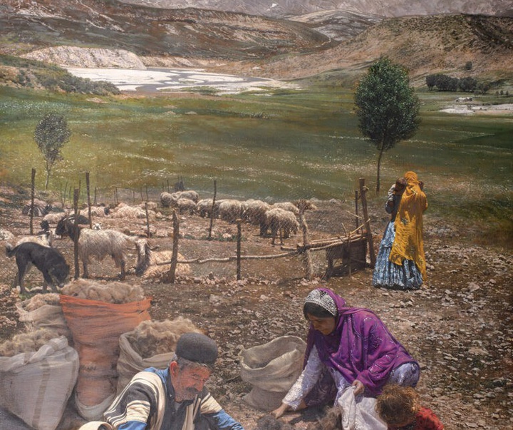 iman maleki