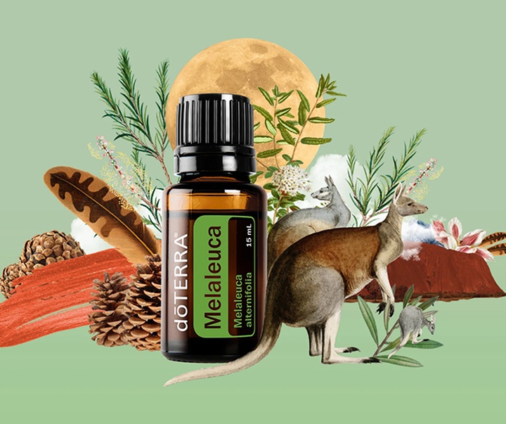 گالری تصویرسازی‌های گیرمو فلورس پاچکو از مکزیک