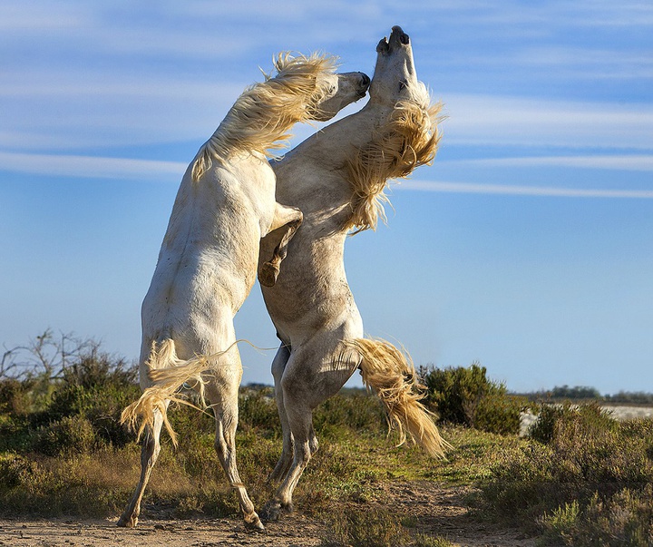 گالری آثار عکاسی جیم زاکرمن از برزیل - قسمت دوم