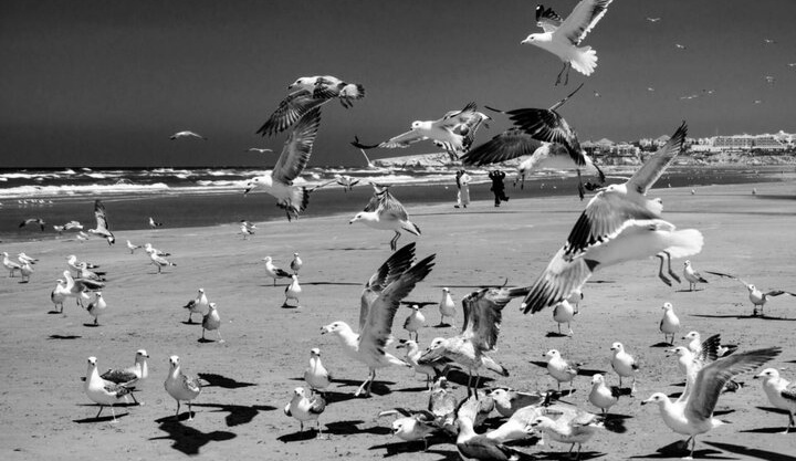 نمایش آثار ۱۸ هنرمند ایرانی در عمان