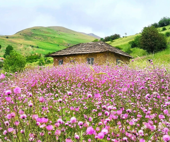 گالری عکس های فروزان یکتایی از ایران