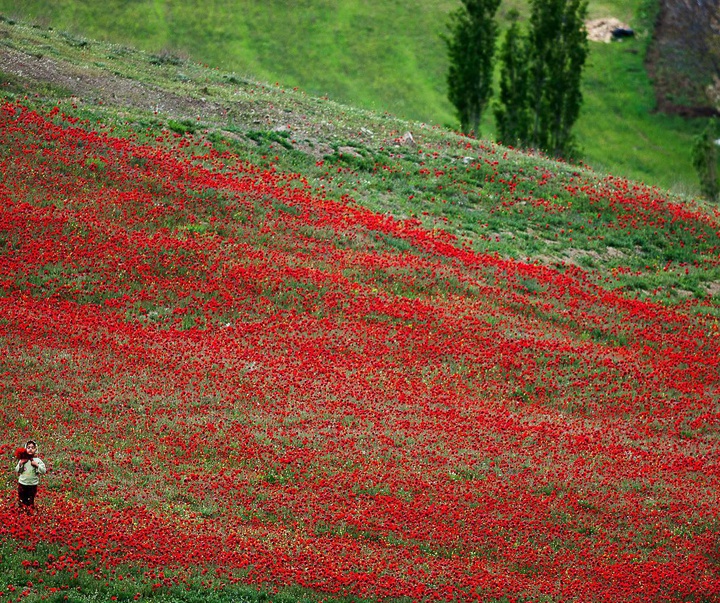 گالری آثار عکس های صادق میری از ایران
