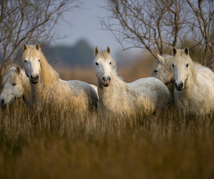 گالری آثار عکاسی جیم زاکرمن از برزیل - قسمت دوم