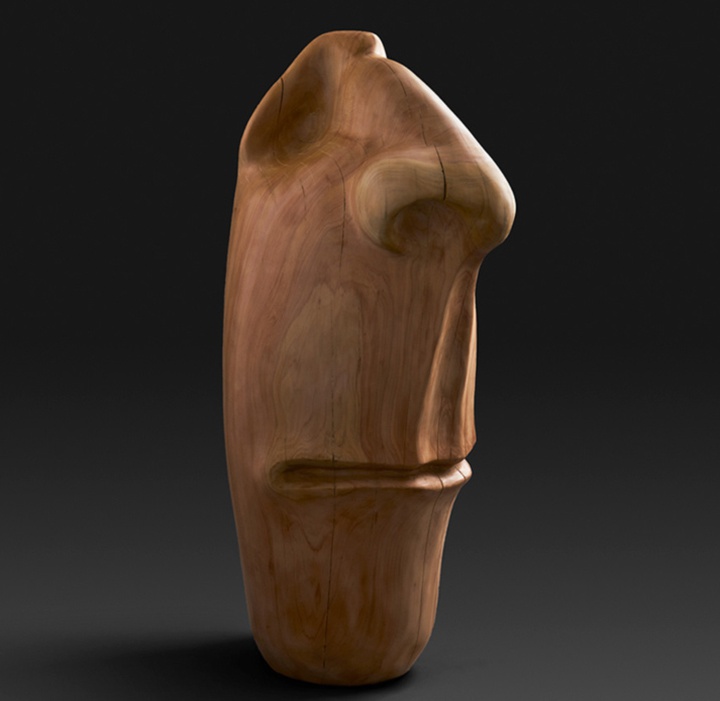 گالری آثار حجم آندرس آگیره از اکوادور