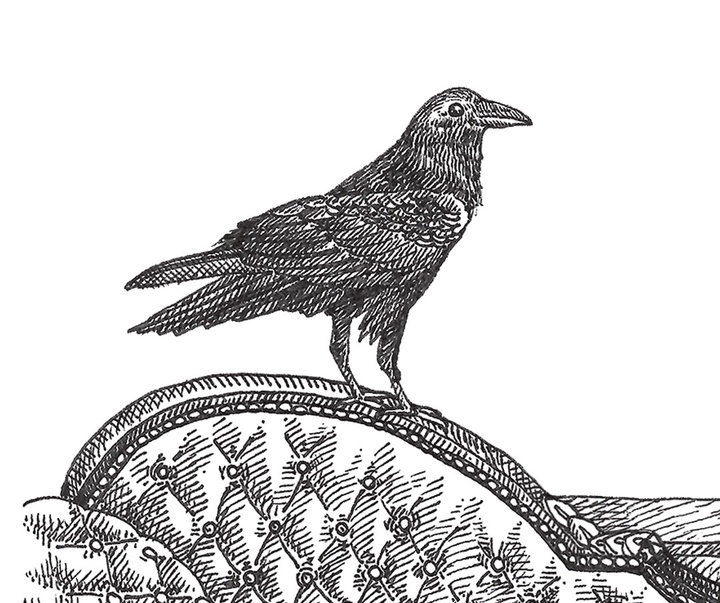 گالری آثار تصویرسازی نیکول بوستامانته از برزیل