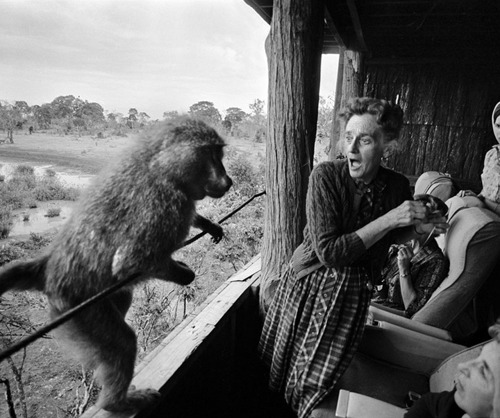 گالری آثار عکاسی برونو باربی از مراکش