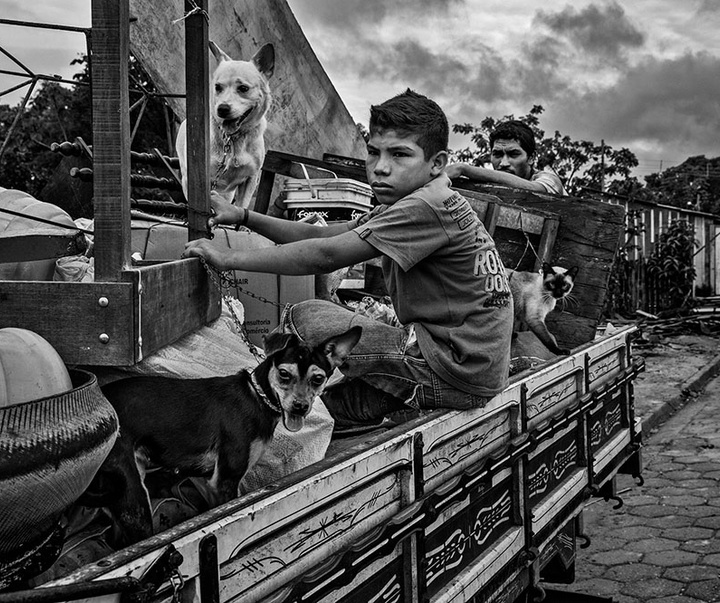 گالری آثار عکاسی لالو د آلمیدا از برزیل - قسمت دوم