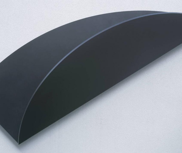 ellsworth kelly