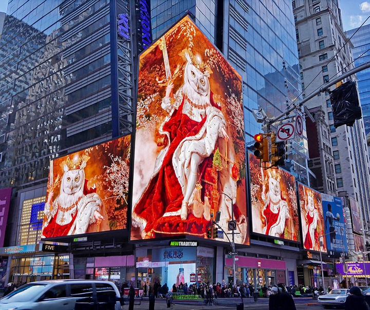 گالری تصویرسازی‌های گیرمو فلورس پاچکو از مکزیک