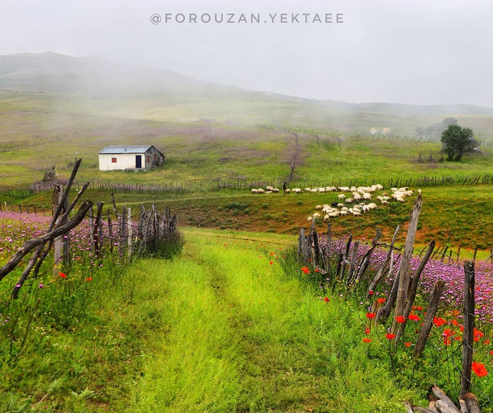 گالری عکس های فروزان یکتایی از ایران