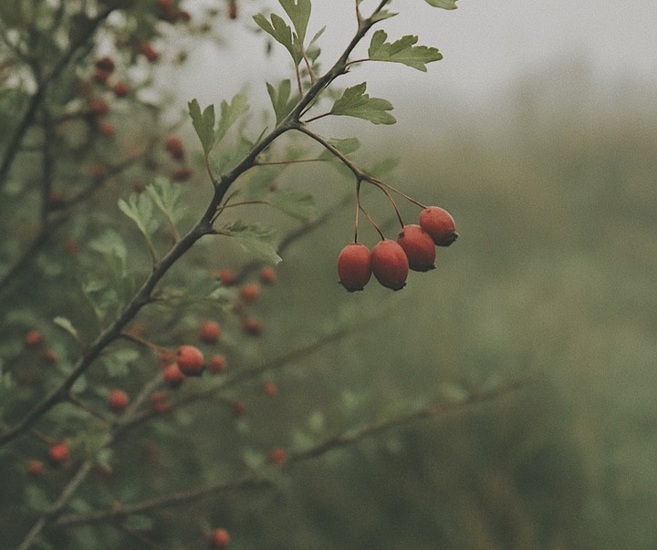 گالری عکس های ریچل برنن از فرانسه