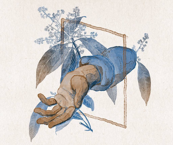 گالری تصویرسازی‌های استودیو لاسکا از برزیل