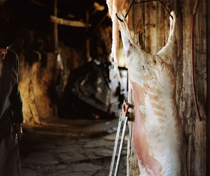 گالری منتخبی از آثار عکاسی هنرمندان آرژانیتینی