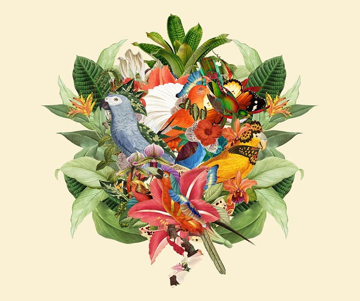 گالری تصویرسازی‌های گیرمو فلورس پاچکو از مکزیک