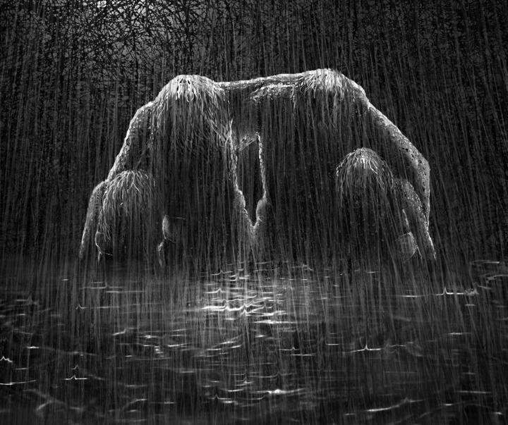 گالری آثار هنرهای دیجیتال ویسنت کریتیک از اسپانیا