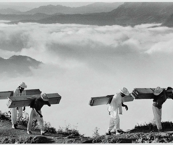 گالری آثار عکاسی سباستین سالگادو از برزیل