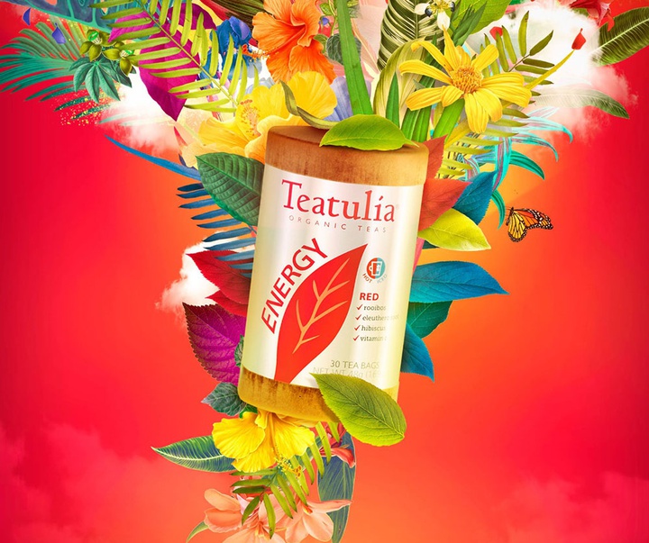 گالری تصویرسازی‌های گیرمو فلورس پاچکو از مکزیک