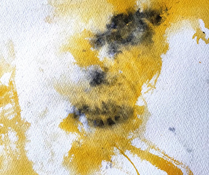 گالری نقاشی های آبرنگ آلن گگوت از فرانسه