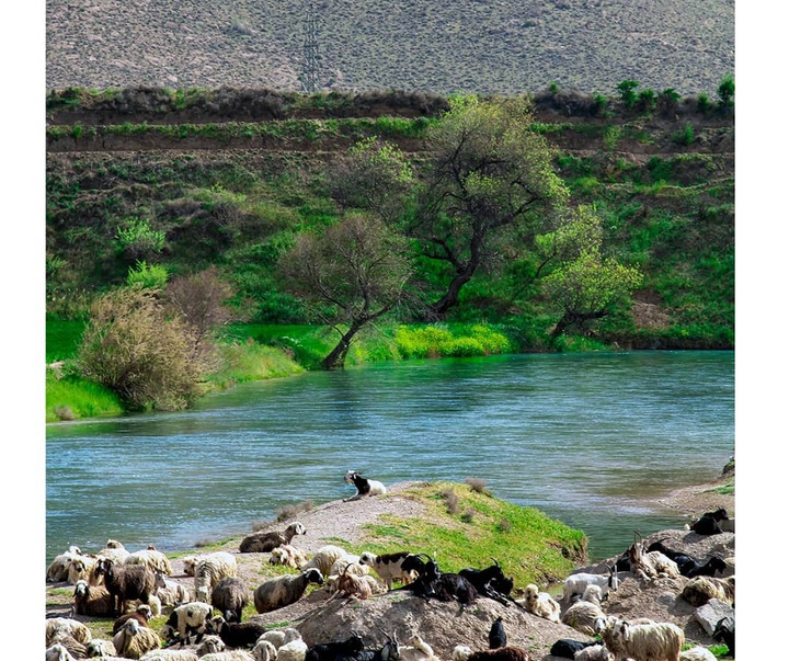 گالری عکس‌‌های فریبا صمدی از ایران