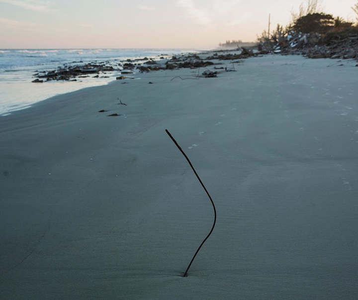 گالری آثار عکاسی لالو د آلمیدا از برزیل - قسمت دوم