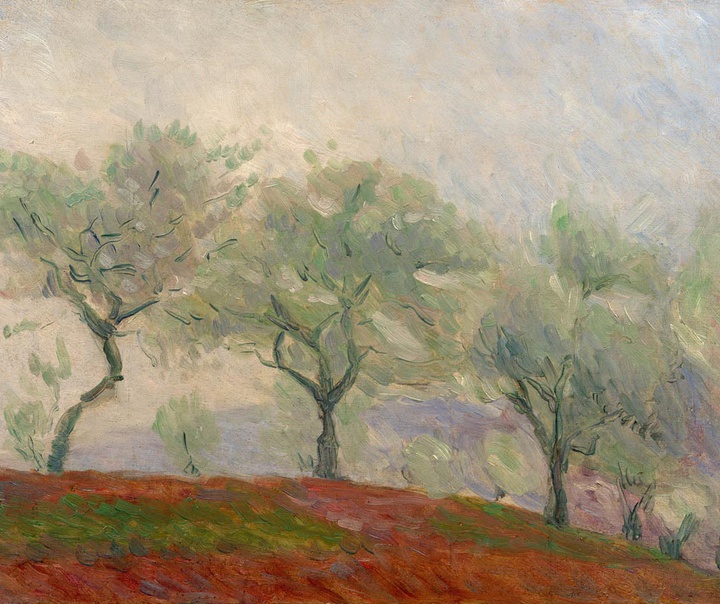 ماری براکموند