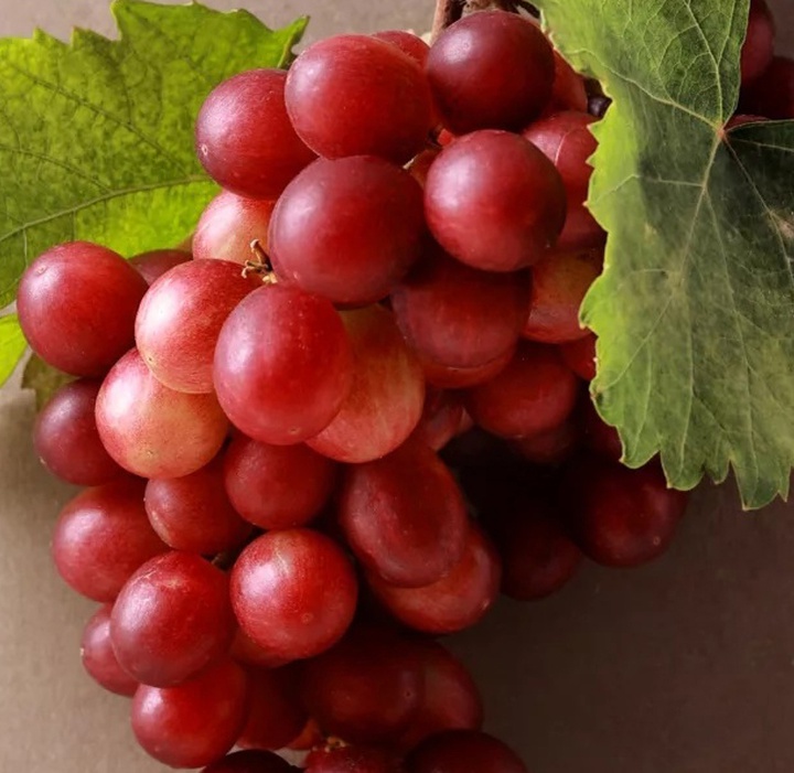 گالری عکس های خوزه ملادو از اسپانیا
