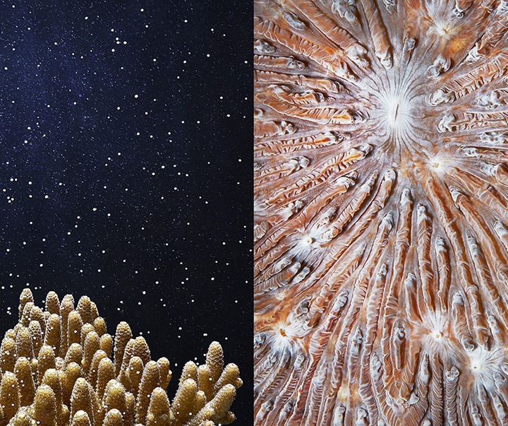 گالری عکس‌های خلاقانه تیم فلچ از بریتانیا