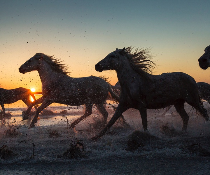 گالری آثار عکاسی جیم زاکرمن از برزیل - قسمت دوم