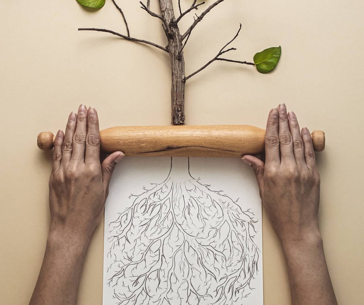 گالری عکس‌های امین روشن افشار