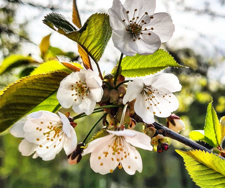 گالری عکس‌های مارگارت هاگویک از نروژ