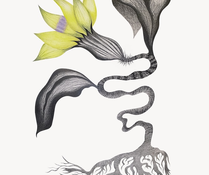 گالری تصویرسازی‌های کاتریل مارتینز از آرژانتین