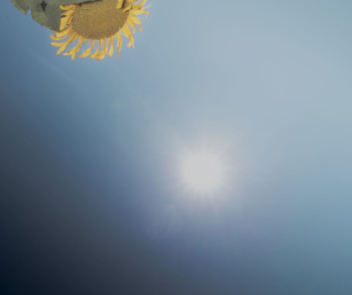 گالری آثار عکاسی گرگوری هالپرن از آمریکا