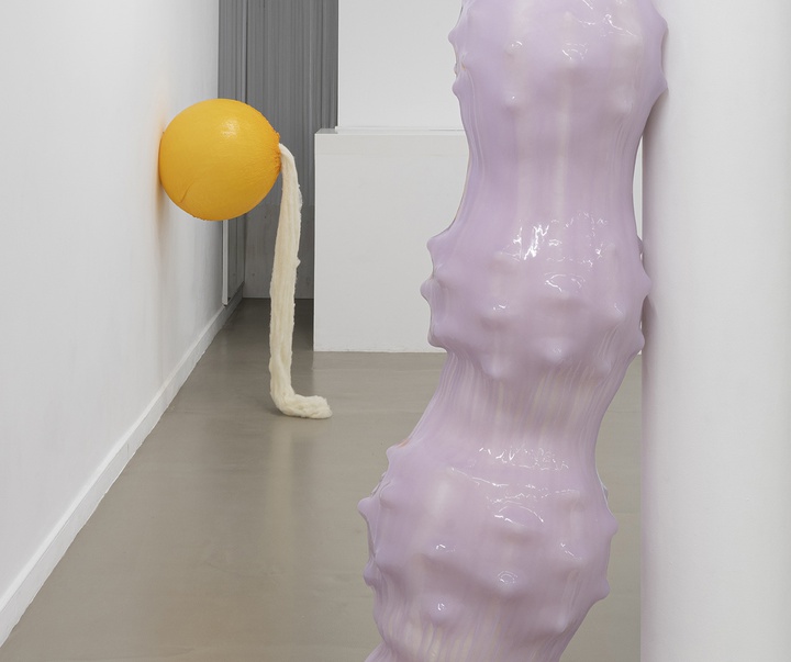 گالری آثر چیدمان و حجم اوا فابرگاس از اسپانیا