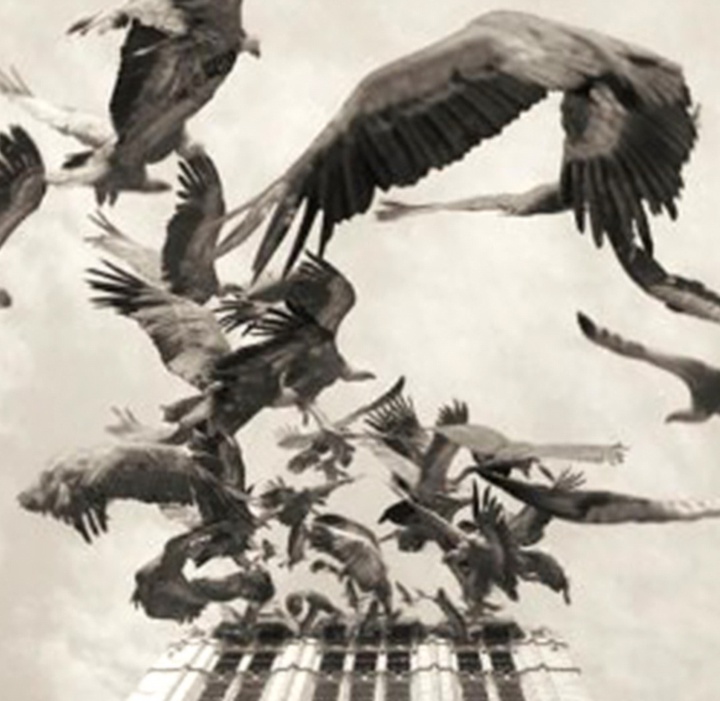 گالری آثار عکاسی اوریول یولانچ از اسپانیا