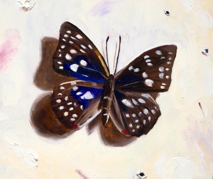 جولیا هوخبام