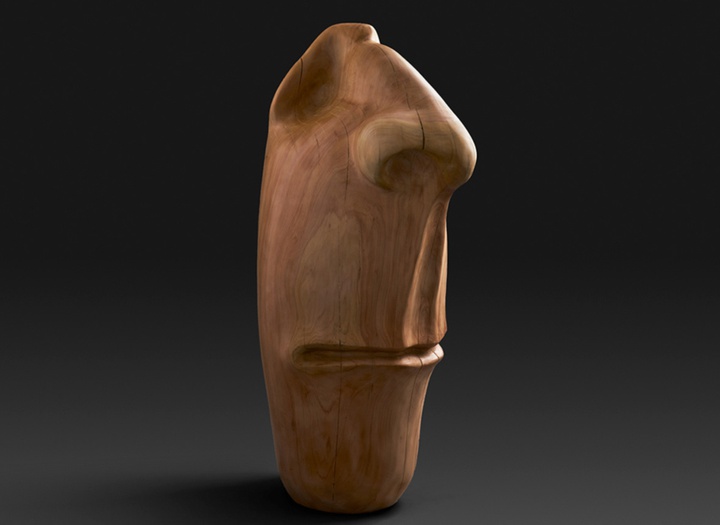 گالری آثار حجم آندرس آگیره از اکوادور