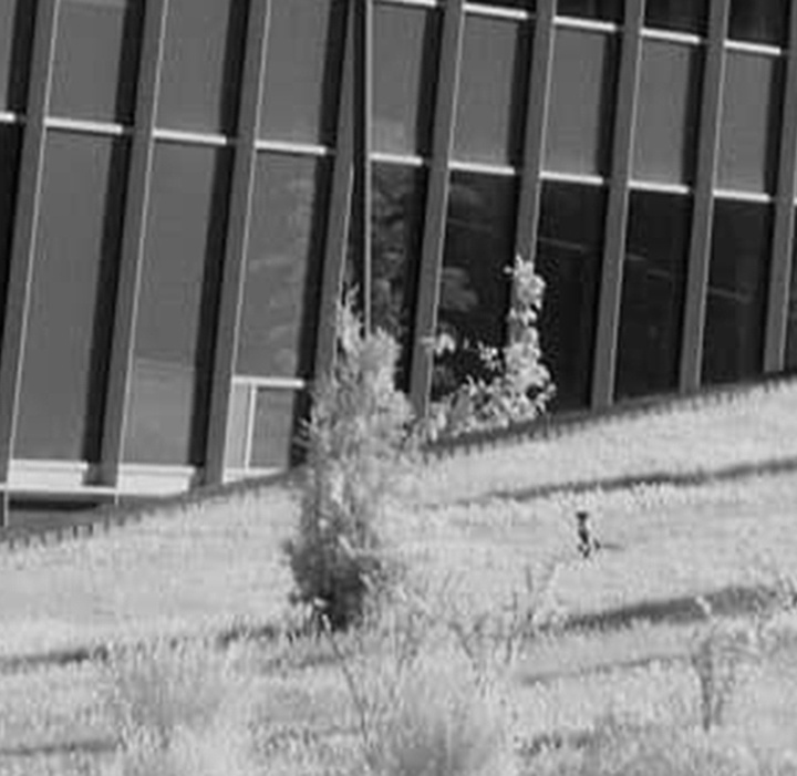 گالری آثار عکاسی فدریکو فورتینی از آرژانتین