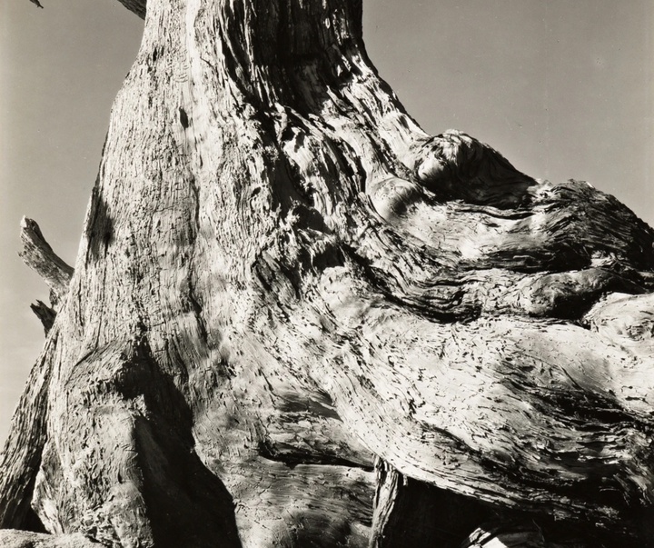 گالری عکس‌های ادوارد وستون از آمریکا