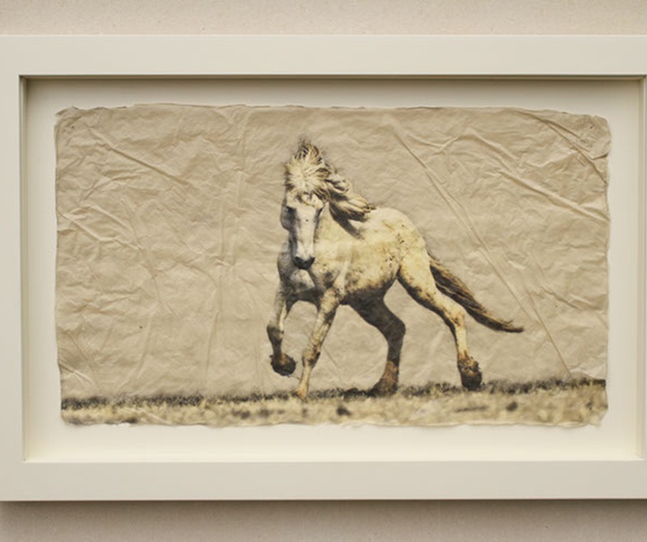 گالری نقاشی‌های پیت زالوزک از آمریکا