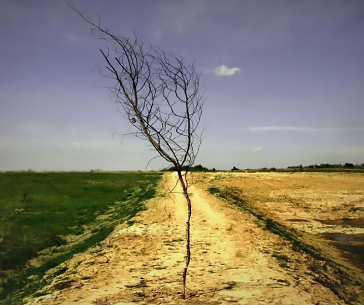 گالری آثار عکاسی الکس دمیدوف از اسپانیا