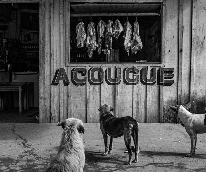 گالری آثار عکاسی لالو د آلمیدا از برزیل - قسمت دوم