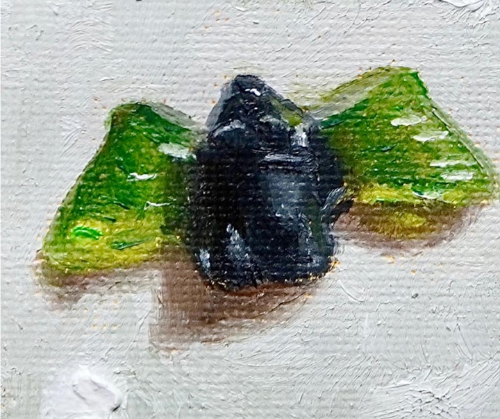 جولیا هوخبام