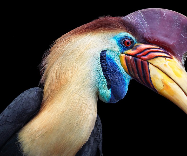 گالری عکس‌های خلاقانه تیم فلچ از بریتانیا